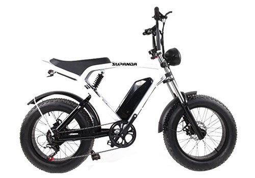 electric bike