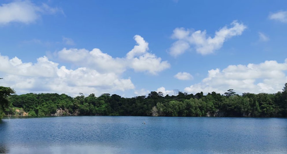 mountain bike park 4