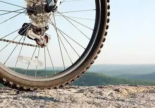 mountain bike tires