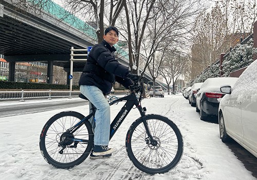 city e bikes2 city e bikes2