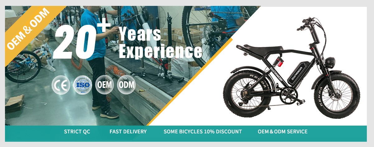 480V 350W electric bike supplier 480V 350W electric bike supplier