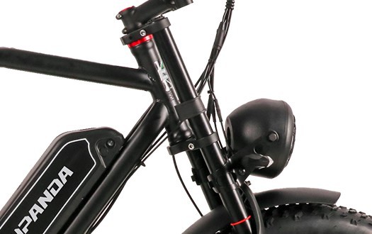 double crown front fork electric mountain bike