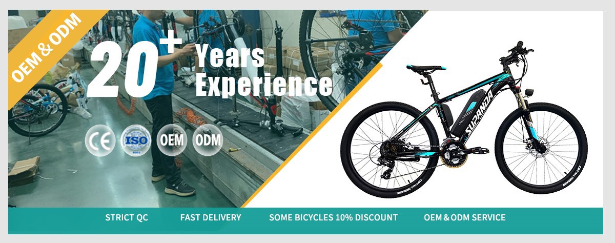 electric mountain bike factory
