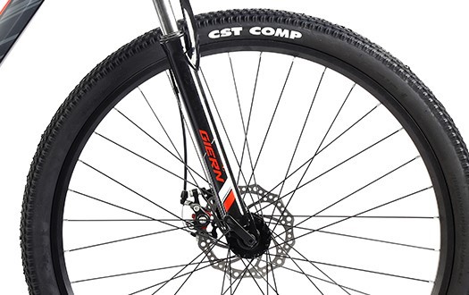 mountain bike with CST tire