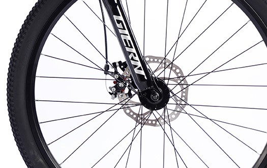 mountain bike with disc bake