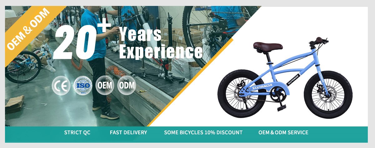 children bike for age 10 supplier