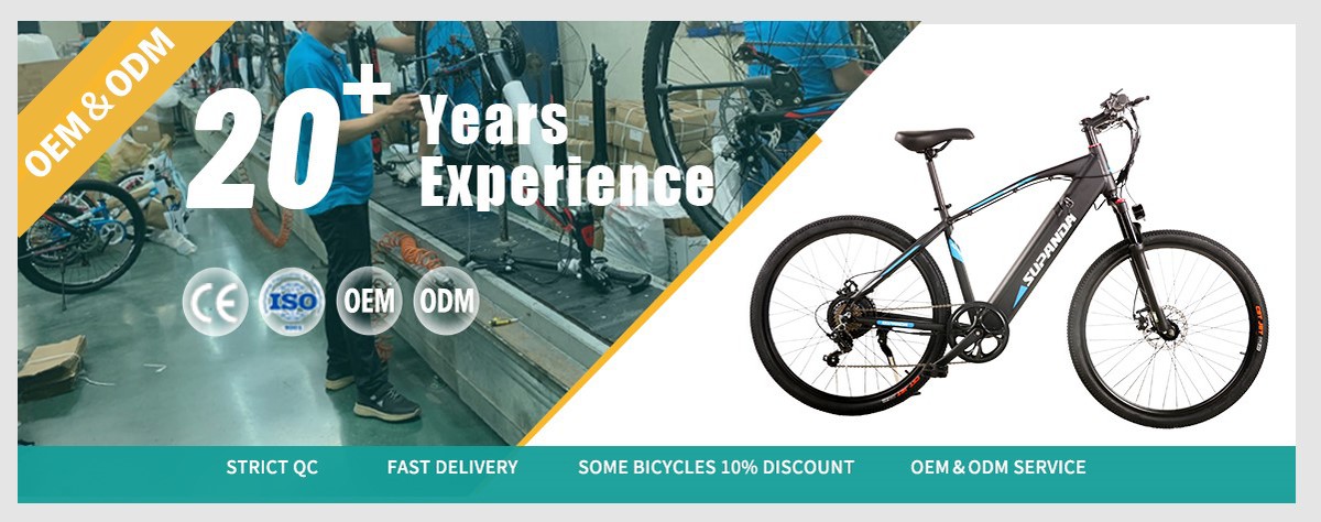 ebike factory manufacture ebike factory manufacture