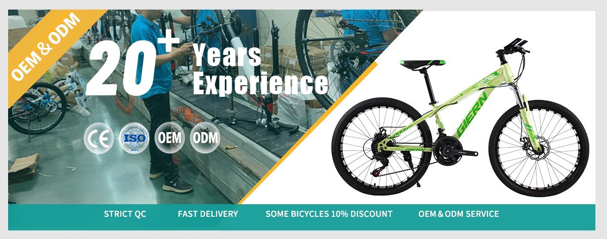 women bicyle wholesale cycle