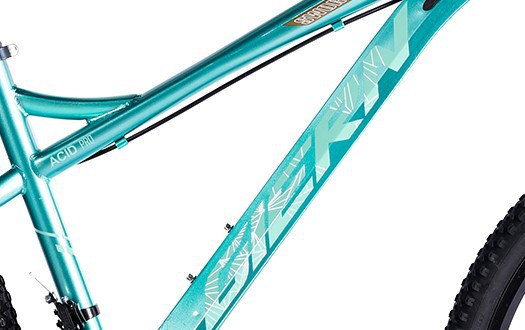 beautiful sticker special design mountain bicycle