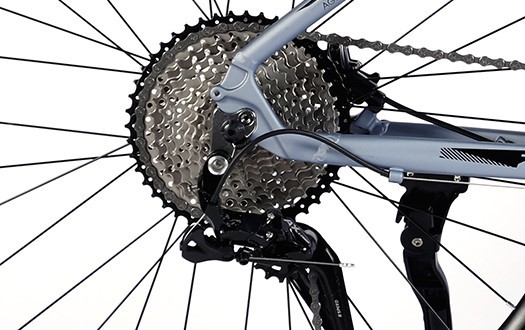 cassette freewheel