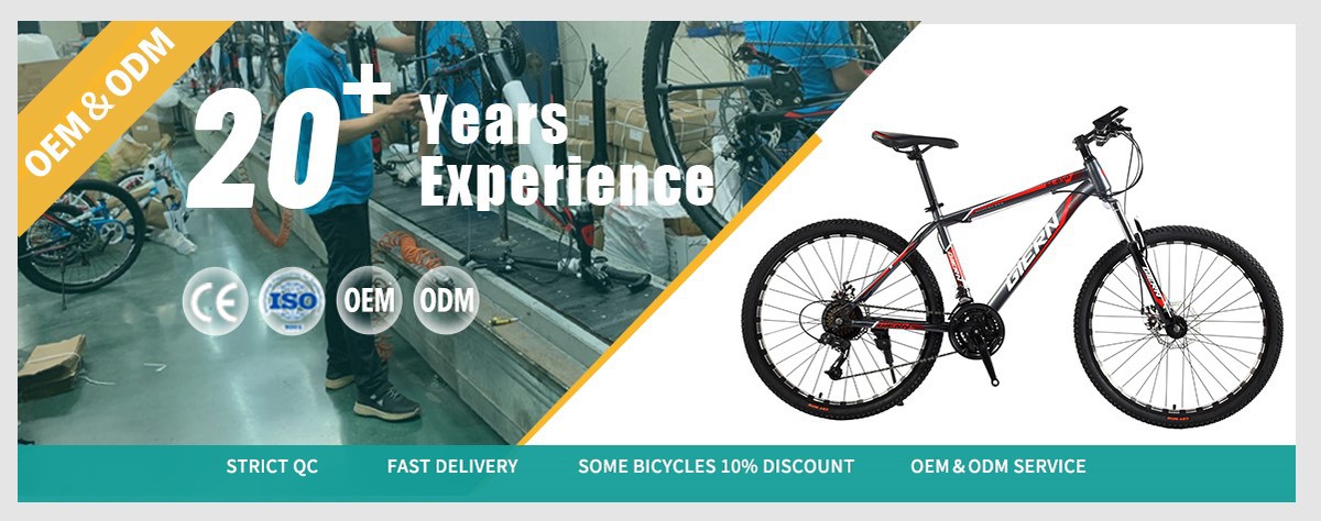 hardtail mountain bike