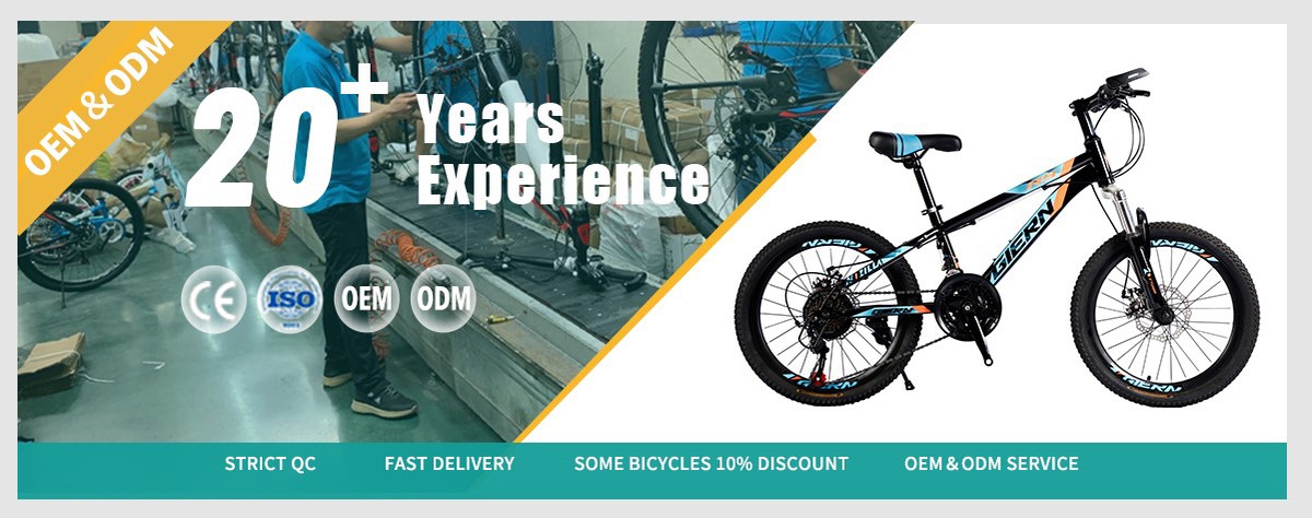 hardtail mountain bike