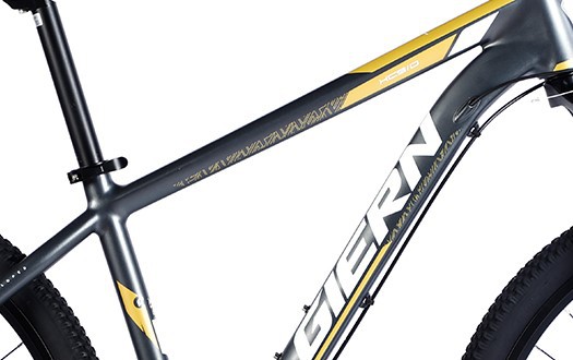bicycle frame