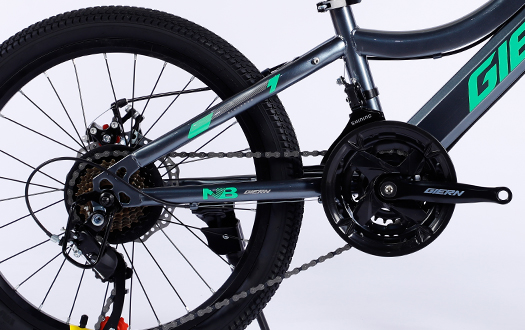 21 speed mountian bike