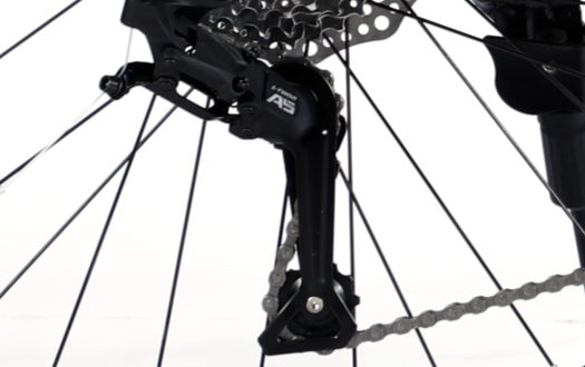 derailleur derailleur