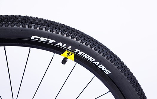 CST mountain bike tire