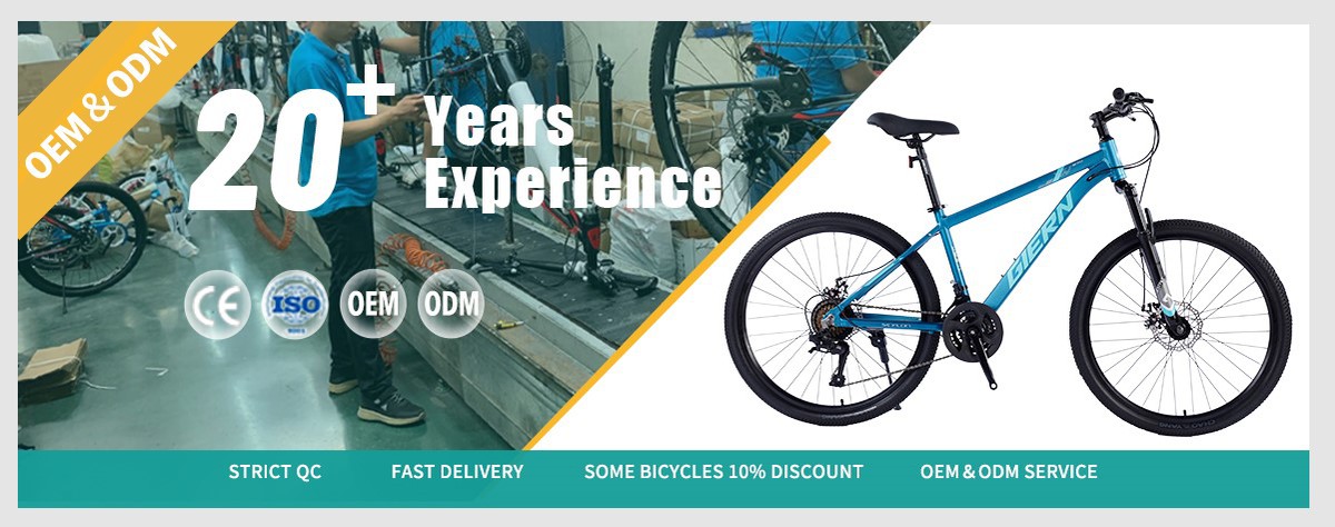 blue hardtail mountain bike