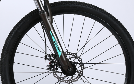 mountain bike fat tires