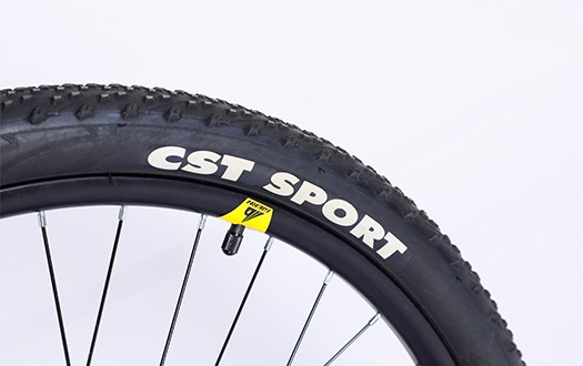 CST tire mountain bike