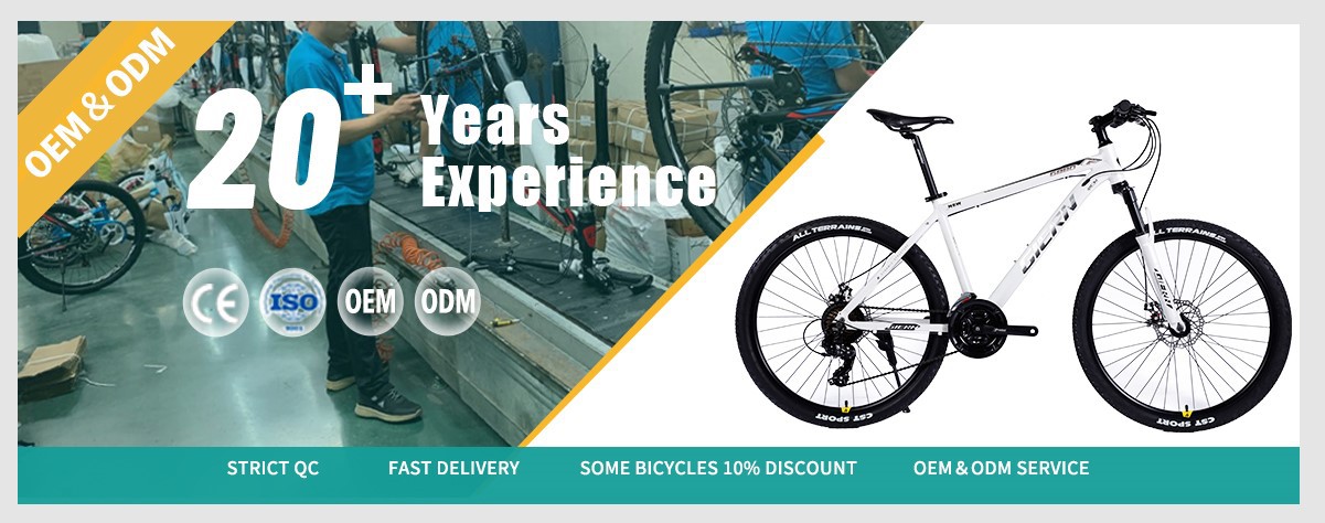 hardtail hybrid bike