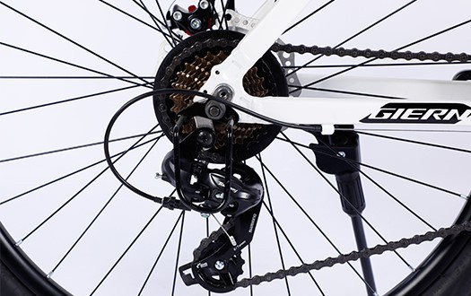 derailleur derailleur