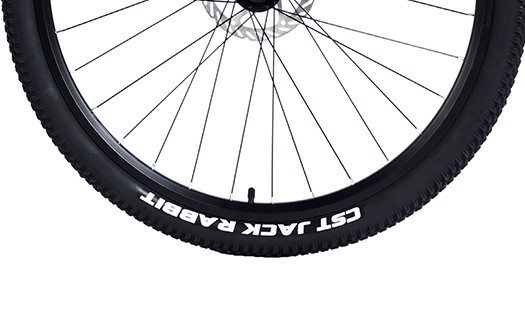 mountain bike CST tire