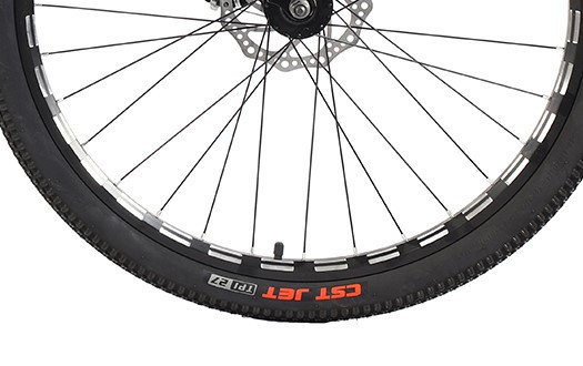CST Mountain bike tire