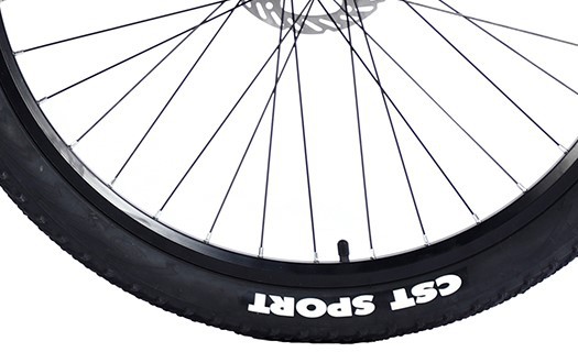 CST mountain bike tire