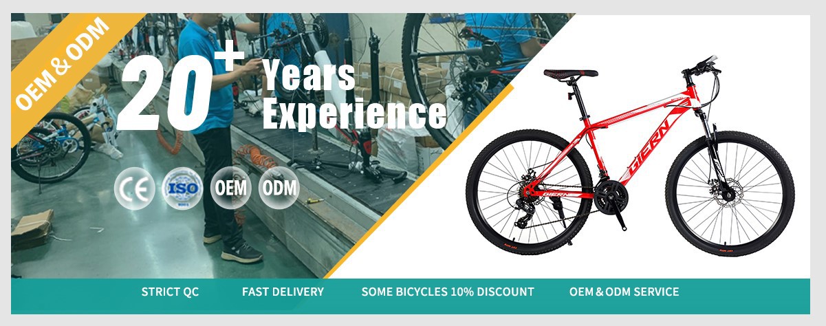 women mountain bike aluminum