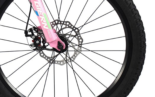 DISC brake