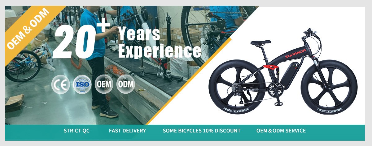 electric mountain bike