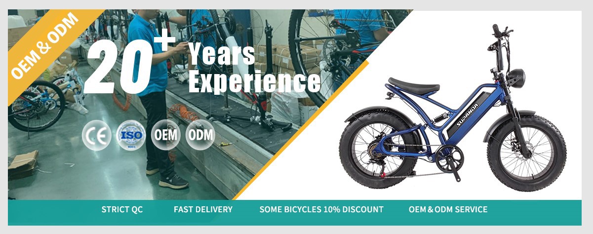 fat tire suspension electric mountain bike