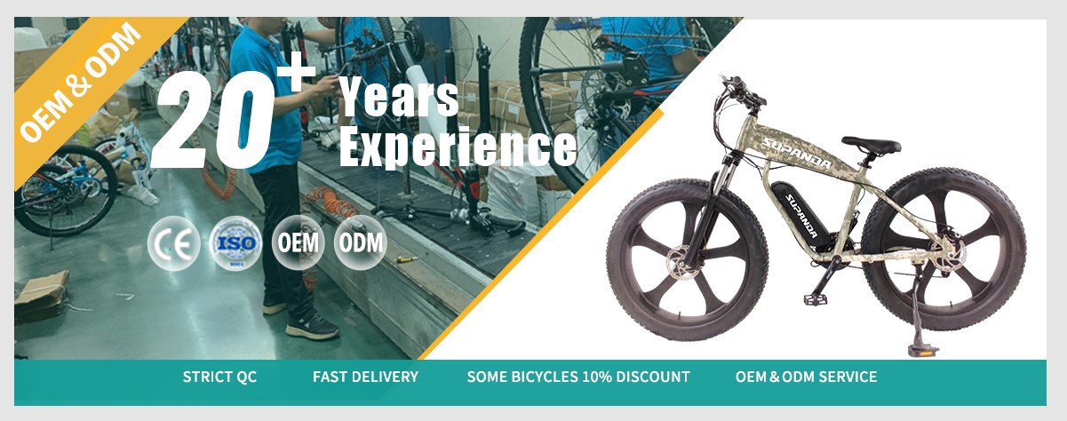 electric XC mountain bike