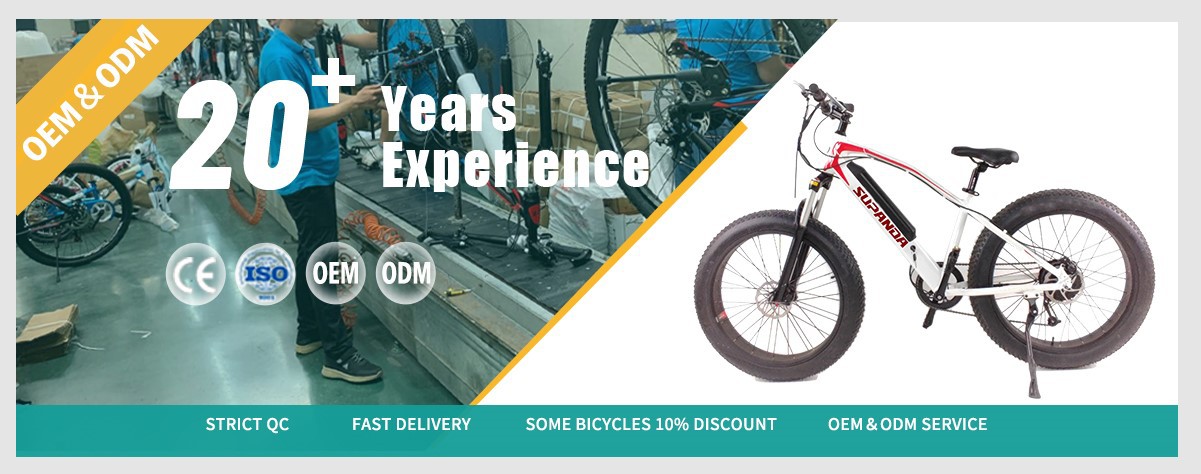 white electric mountain bike