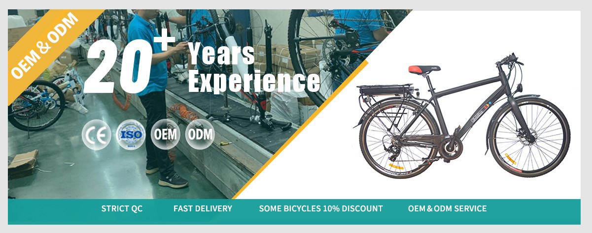 hybrid electric mountain bike