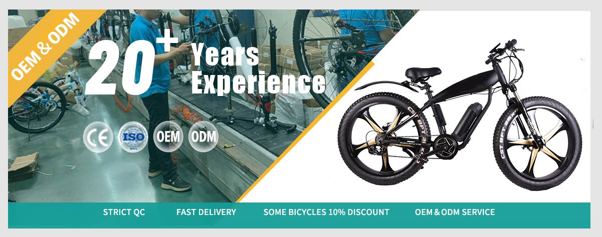 CST Tire 500W Electric Mountain bike CST Tire 500W Electric Mountain bike