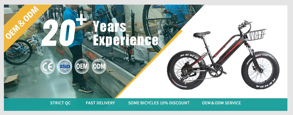 Electric commuter bike ebikes