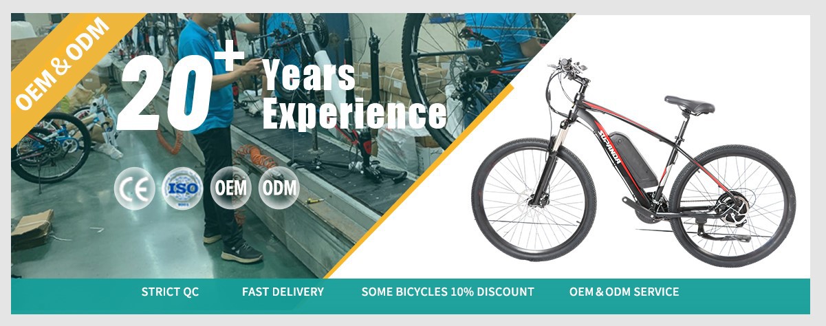 Electric Mountain Bike wholesale