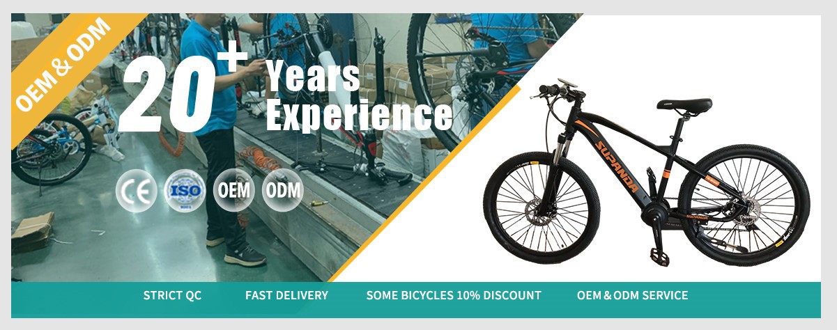 mid motor electric mountain Bike wholesale mid motor electric mountain Bike wholesale