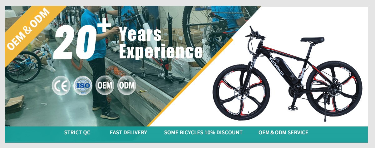 integrated electric Mountain bike