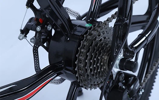 rear motor ebike
