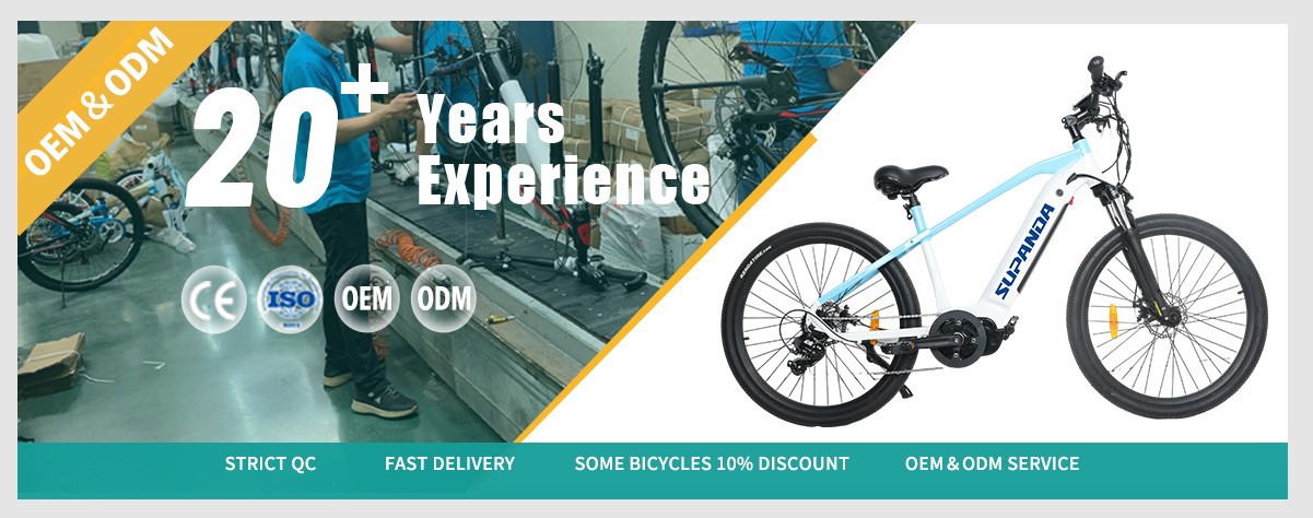 mid motor Mountain bike