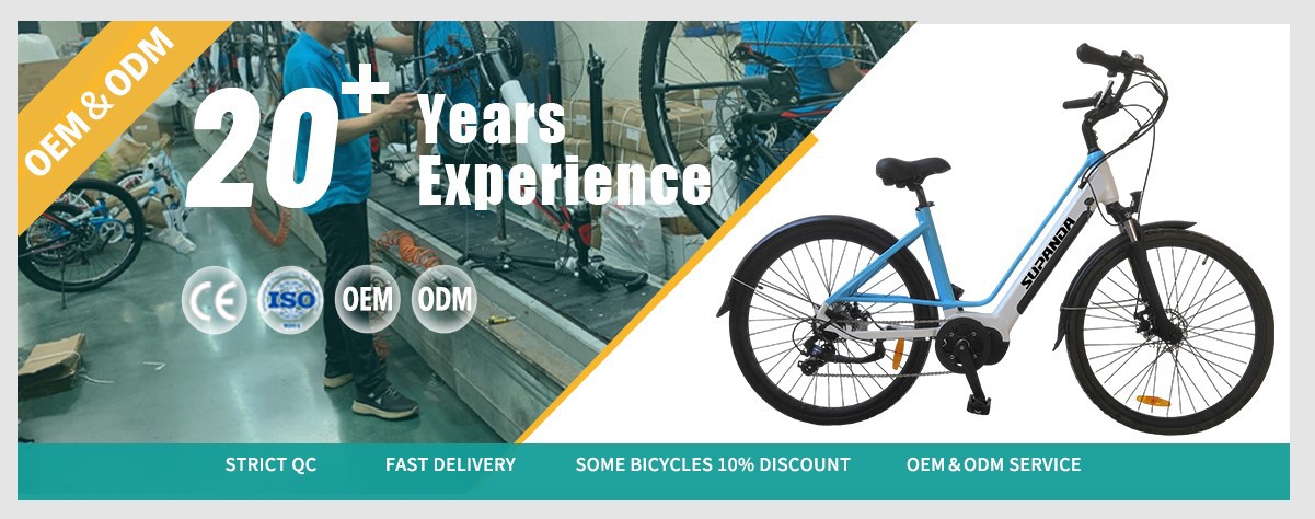 women electric mountain bike women electric mountain bike