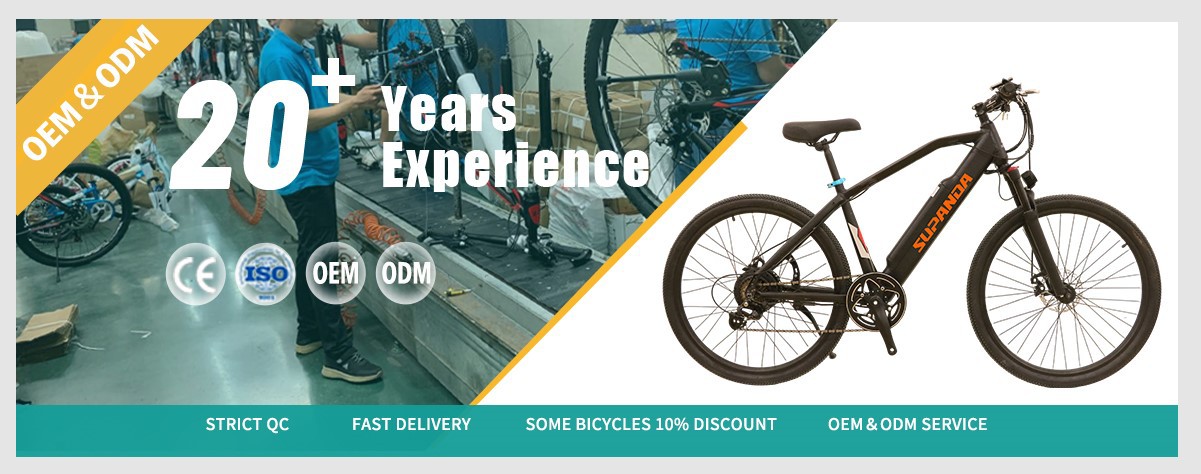 electric mountain bike wholesale