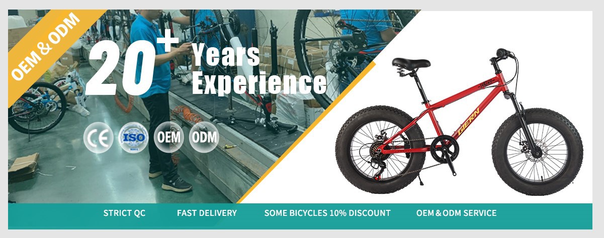 20 inch fat tire mountain bike
