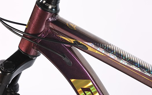 aluminum alloy Frame