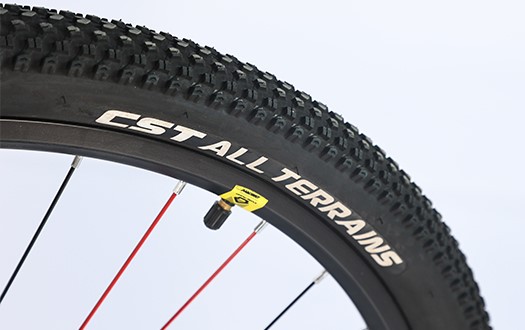 CST mountain bike CST mountain bike
