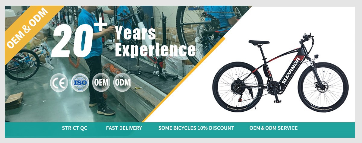 hardtail electric MTB hardtail electric MTB