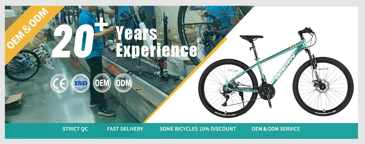 Green hardtail mountain bike