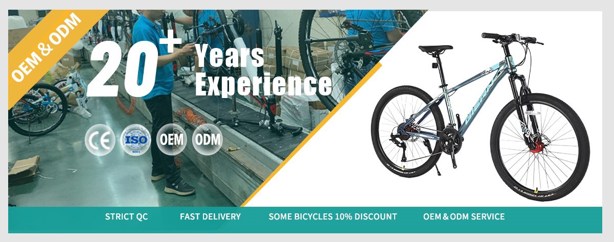 blue hardtail mountain bike